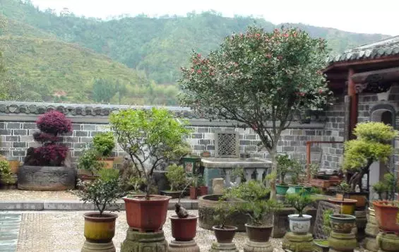 青岛别墅庭院设计