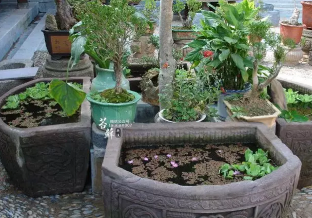 青岛庭院设计施工