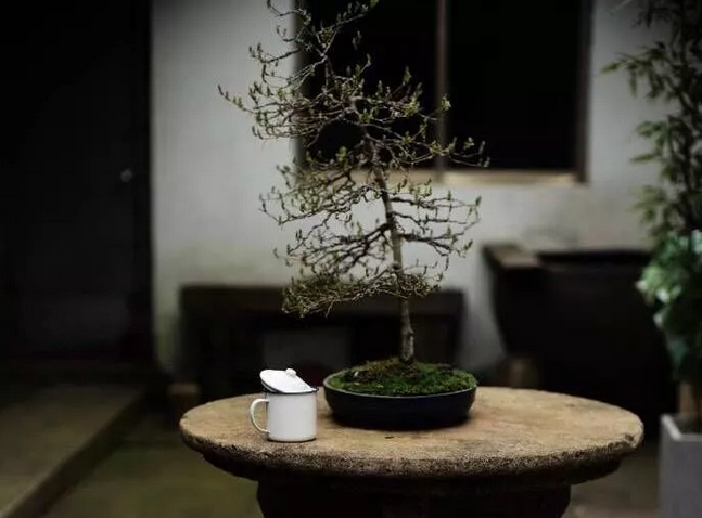 青岛中式庭院设计