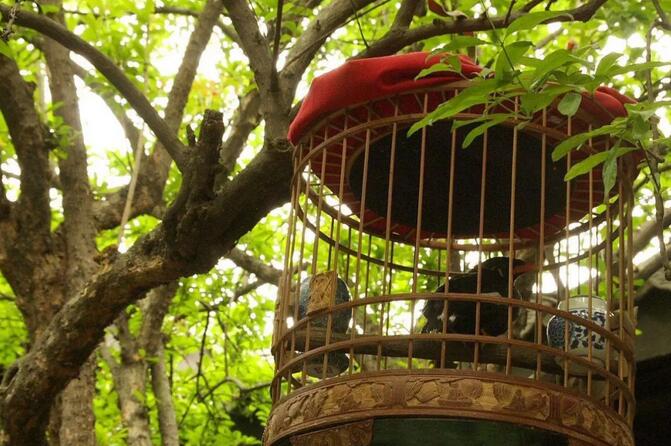 青岛屋顶花园设计