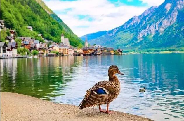 青岛别墅景观设计