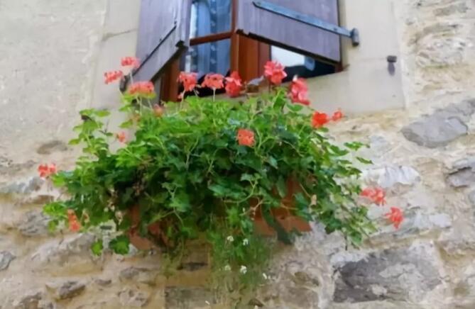 青岛别墅景观设计