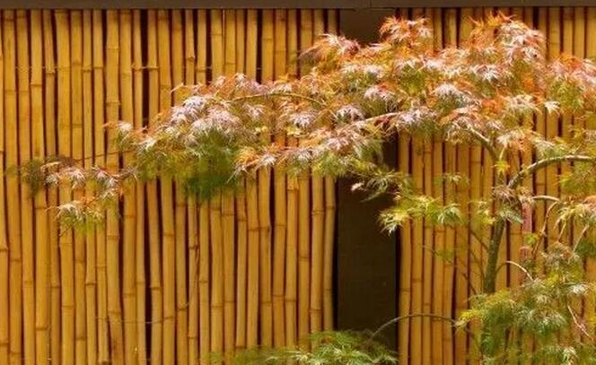 庭院设计与施工