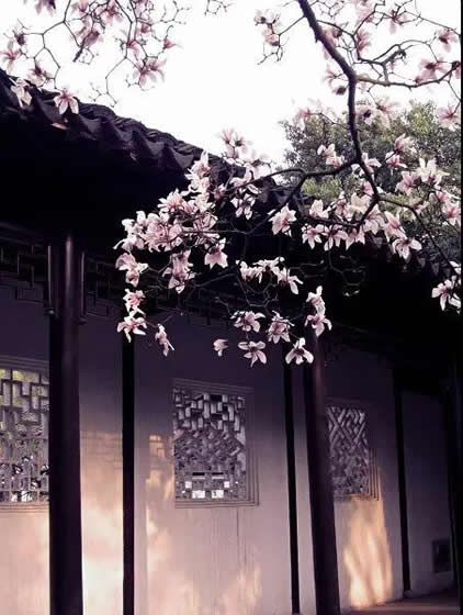 青岛别墅庭院设计