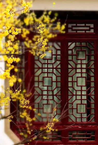 青岛别墅庭院设计