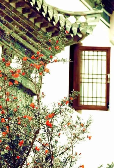 青岛兰亭庭院景观