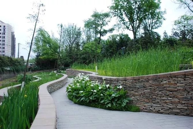 青岛别墅庭院设计