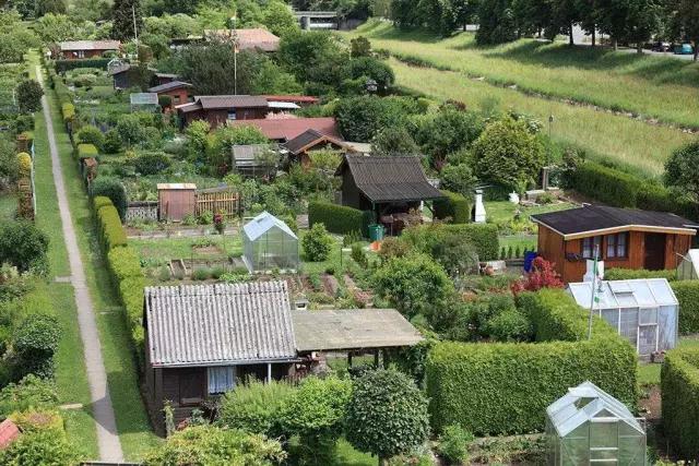 欧洲居民对花卉和植物特别喜欢