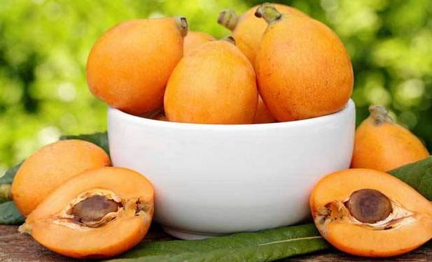 芒种青岛庭院设计美事：果熟