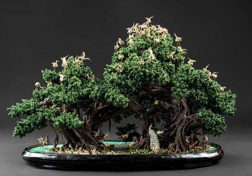 芒种庭院美事：盆栽植物