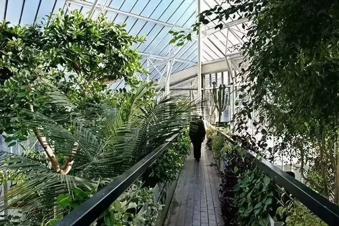 新加坡屋顶花园设计