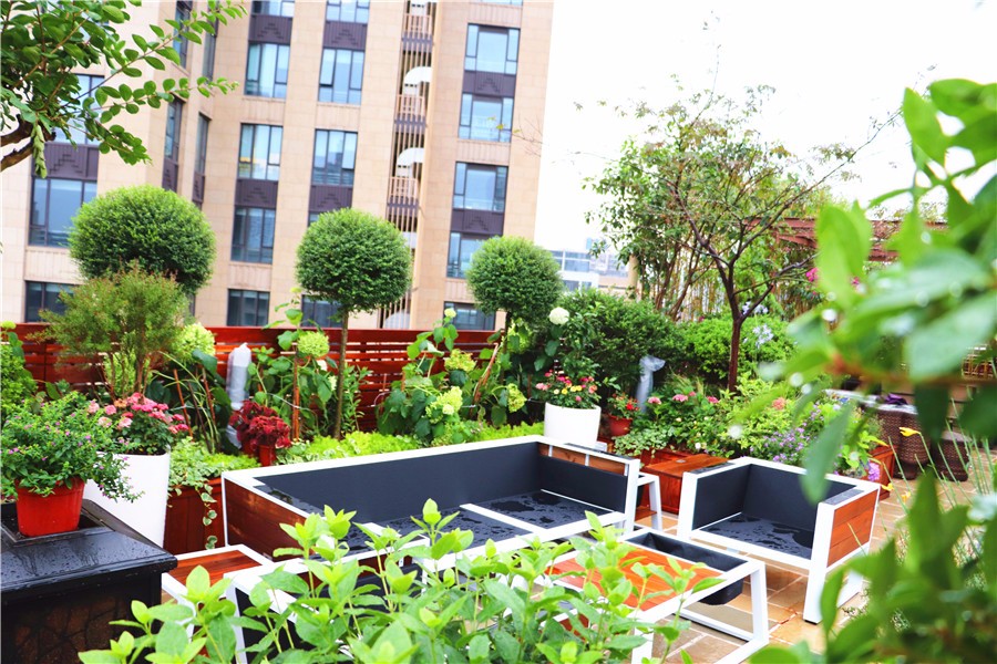 屋顶花园设计,露台花园设计