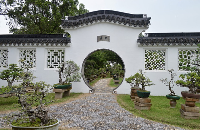 青岛别墅庭院绿植