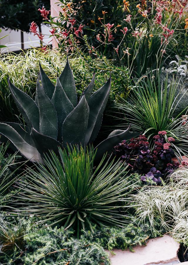 别墅庭院景观之植物景观设计