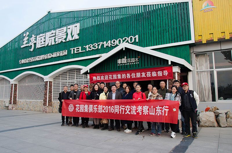 青岛兰亭庭院景观