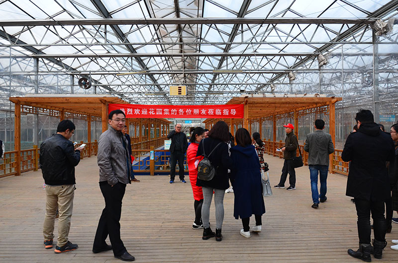 热烈欢迎花园集