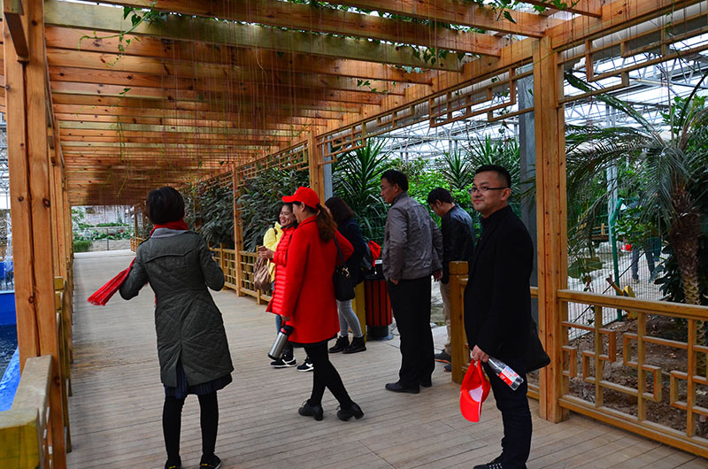 青岛兰亭景观工程有限公司