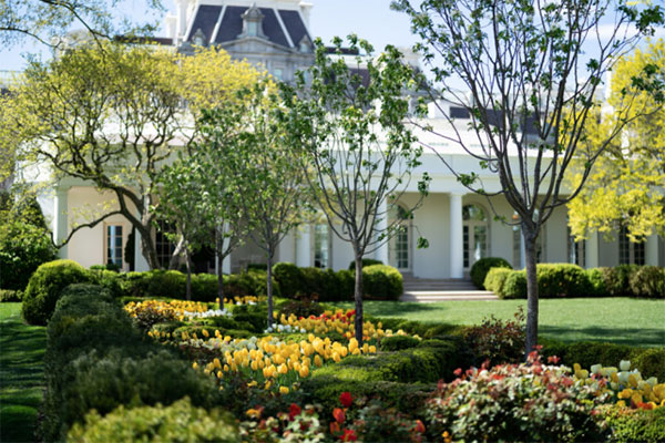 由于不太懂庭院景观设计，特朗普总统一家被骂上热搜榜