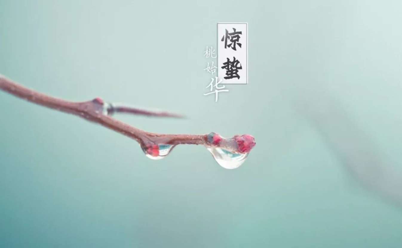 惊蛰 | 烟雨湿阑干 杏花惊蛰寒
