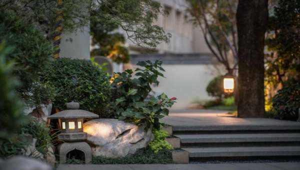 别墅景观设计：打造花园景观怎样选择植物品种，这4点一定要知道！