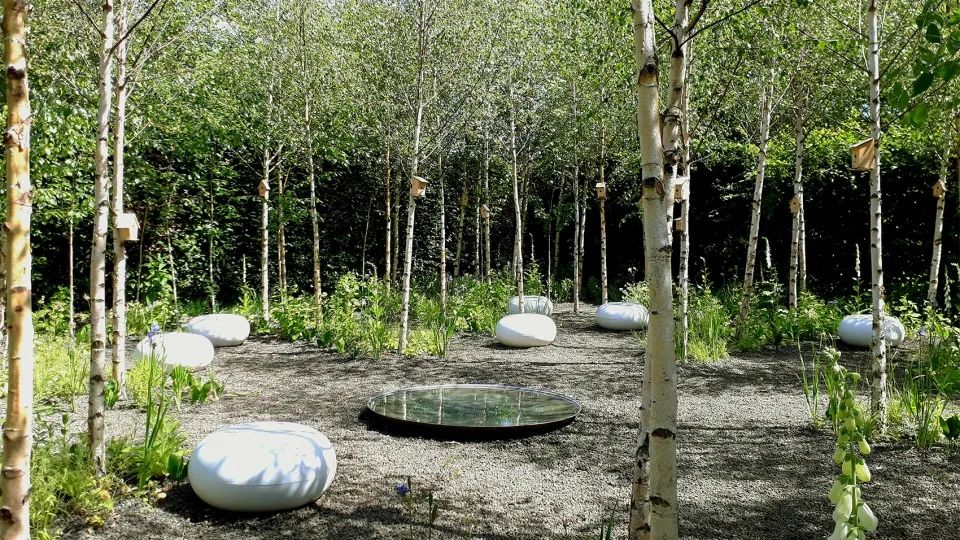 “以自然的视角看世界” 花园景观设计