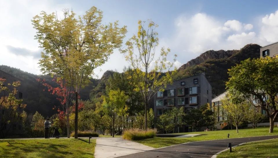 林木森然 - 阿那亚雾灵山一期社区景观