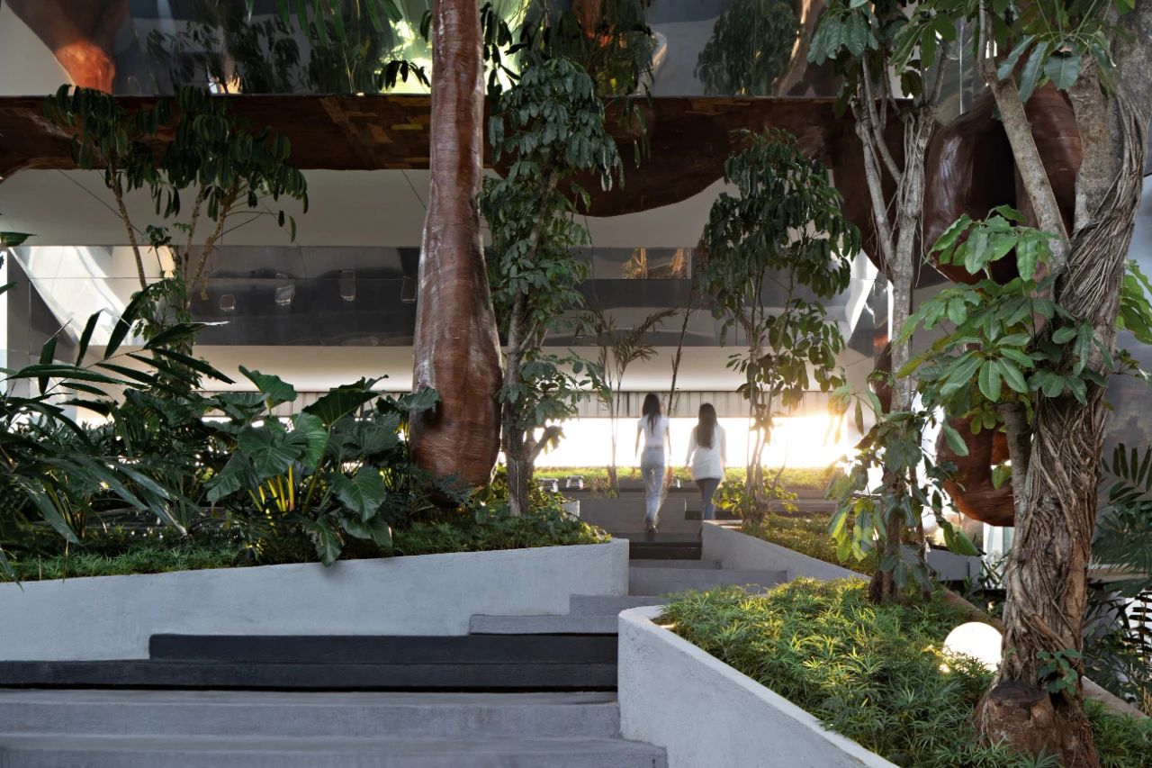 印尼 · Tanatap框架花园咖啡馆