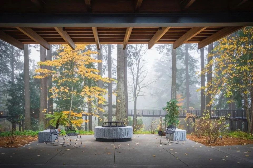 与郁郁葱葱的花园景观融为一体 - Leach植物园