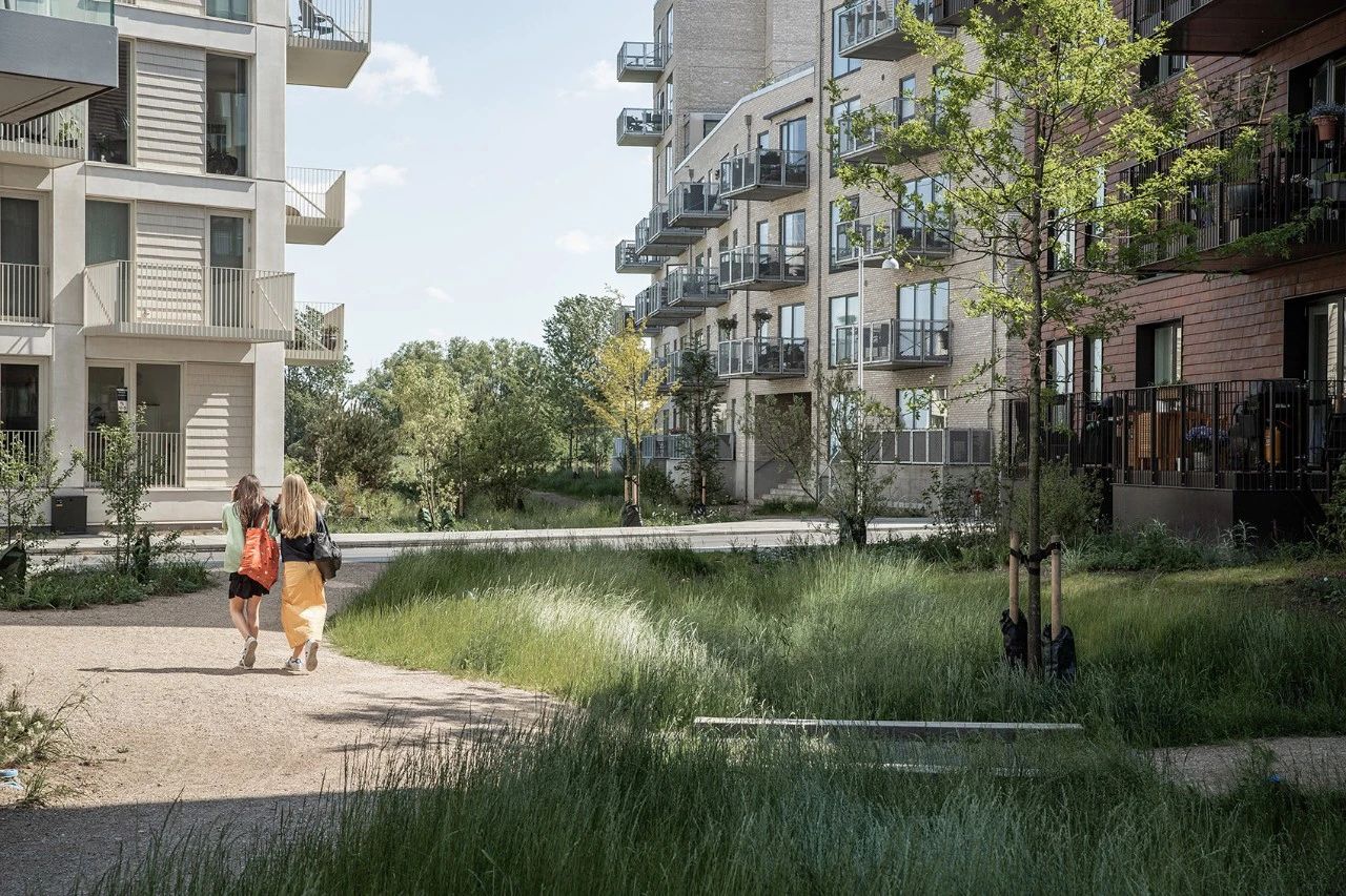 防洪于未来：郁郁葱葱的景观网络