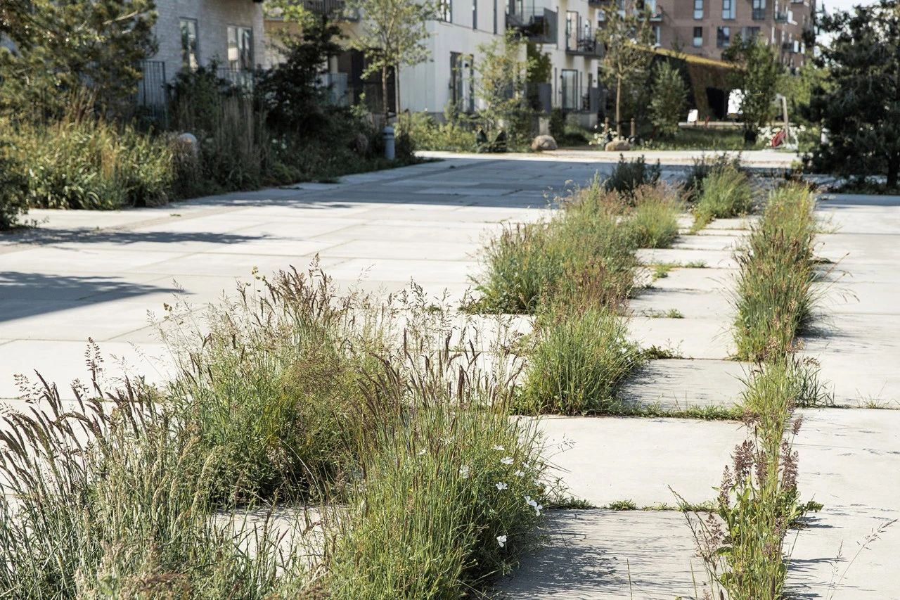 中式院落布局的艺术，疏密曲直，起承转合！