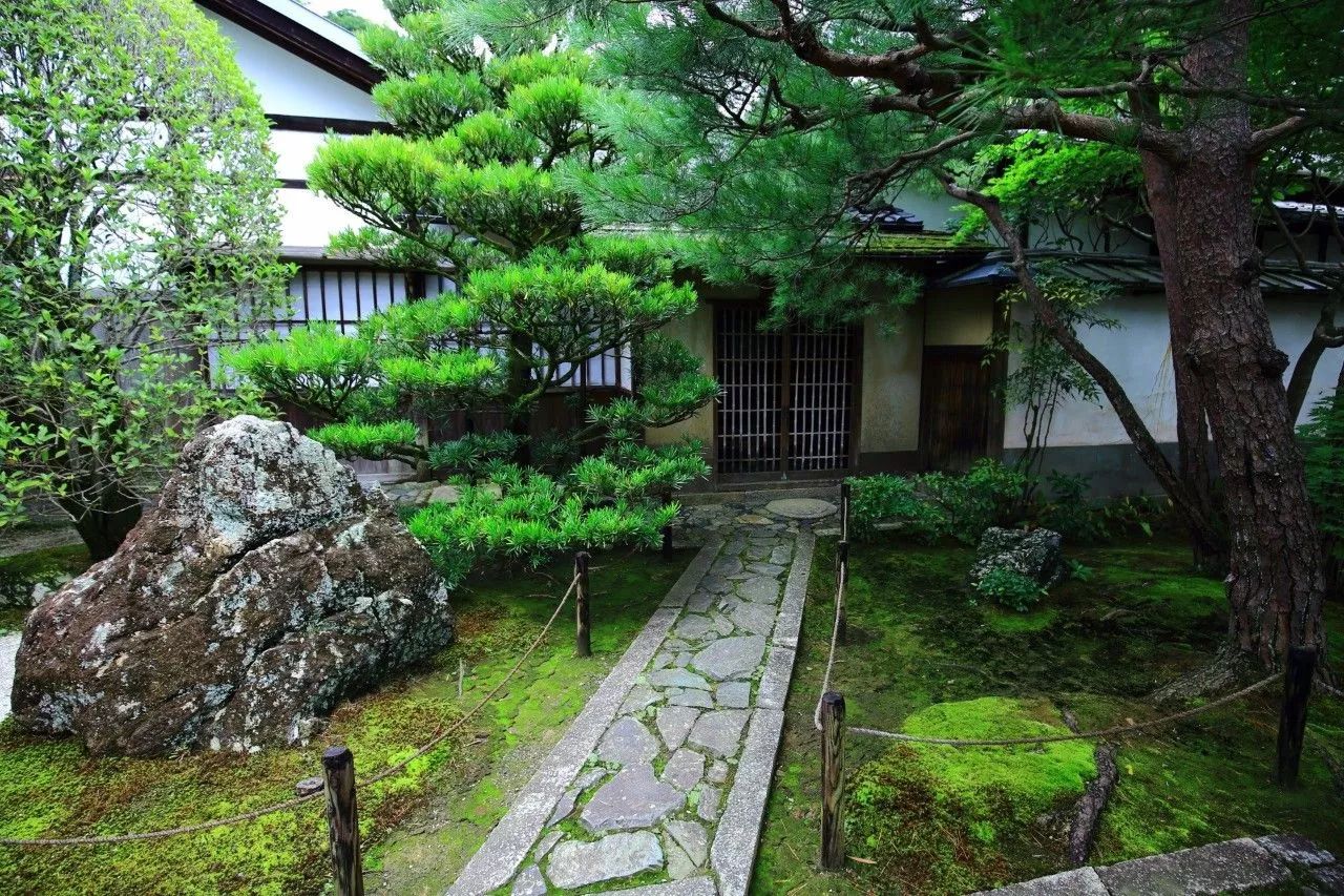 庭院里的青苔，见证悠悠时光，品味自然朴质