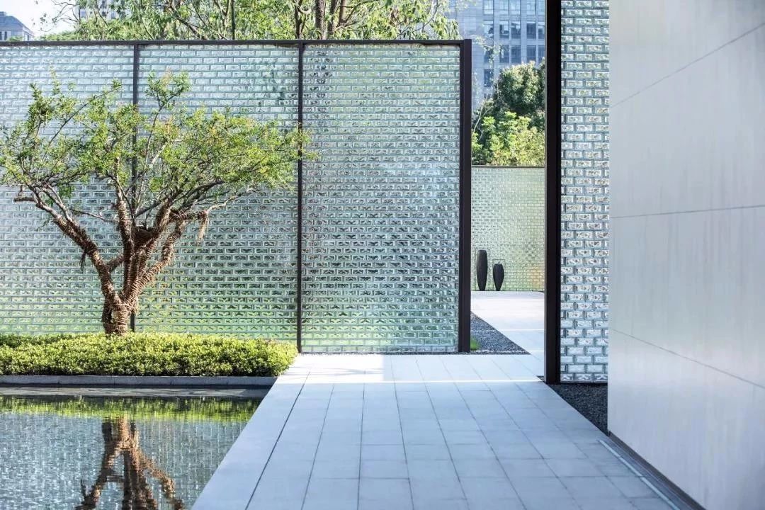 花园植物的修剪方法，一次都打包给你，速速收藏~