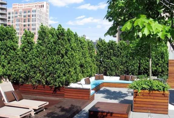 庭院中，这些植物搭配小技巧，你都掌握了吗！