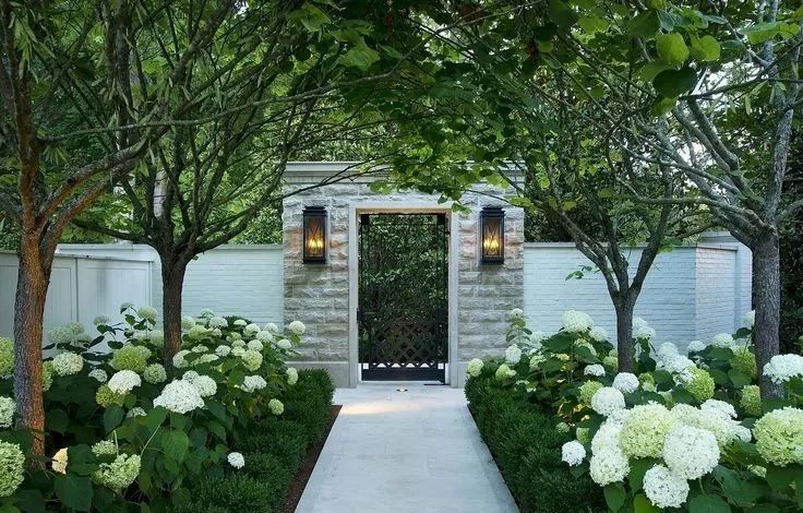 稳定与均衡 | 花园植物造景，这两点一定要注意!