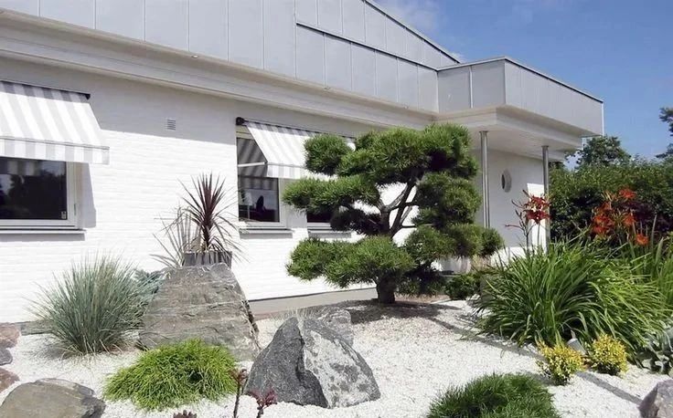 院子里的天然氧吧都有谁？一起来探究吧~