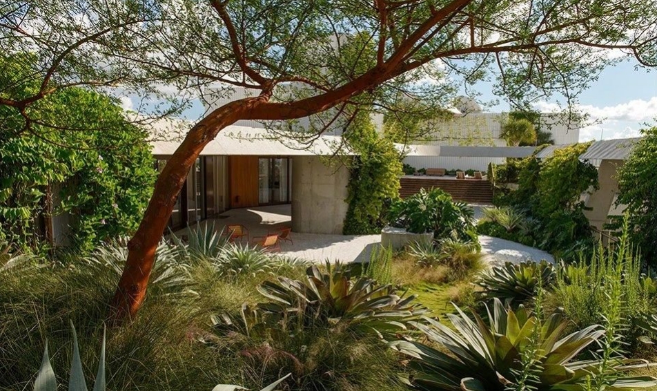 花园，拉近人与自然的关系