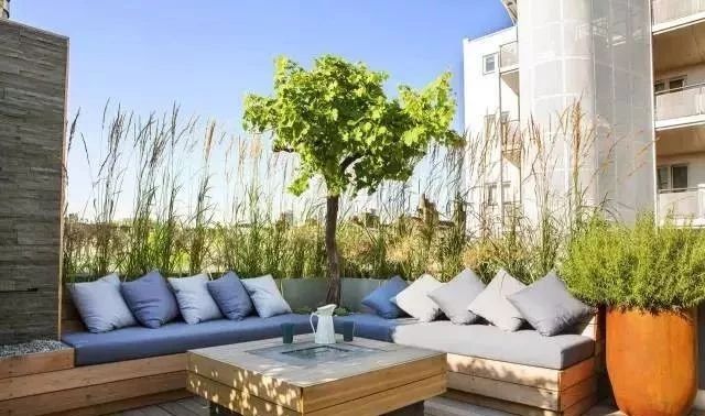 当你拥有花园，这些注意点你知道吗？