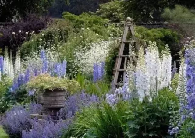 这样打造花园，植物质感大提升，这才是庭院该有的样子！