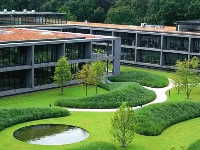 花园中不可或缺的元素——草坪，怎么设计才独特好看呢？