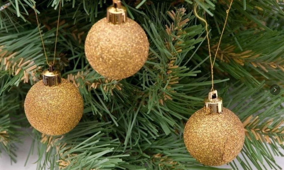 庭院中，这些植物搭配小技巧，你都掌握了吗！