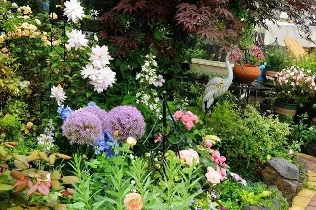 身居一方庭院，享受一方浪漫，花园愿与你相伴到老