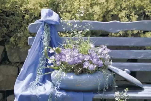 玩转容器花园，这份攻略必须收藏