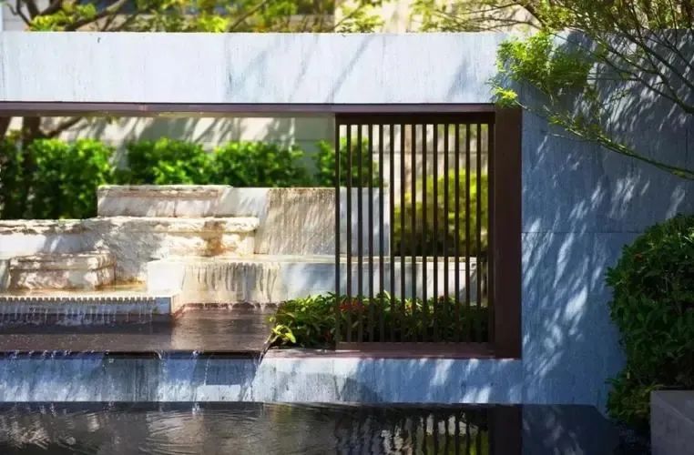 学会这些小妙招，你也能成为养花高手！