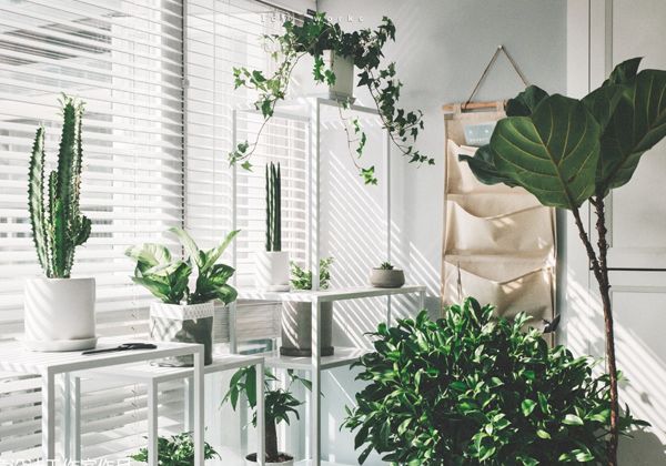 把阳台改造成小花园，这7种风格，你最喜欢哪一种？