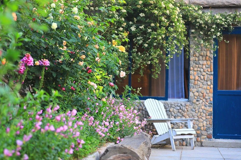 细节决定成败，这些庭院基础一定要打好