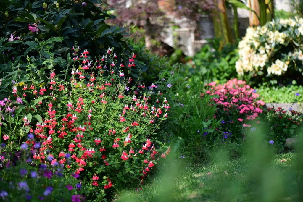 花园之美，美在哪些方面？日照花园设计