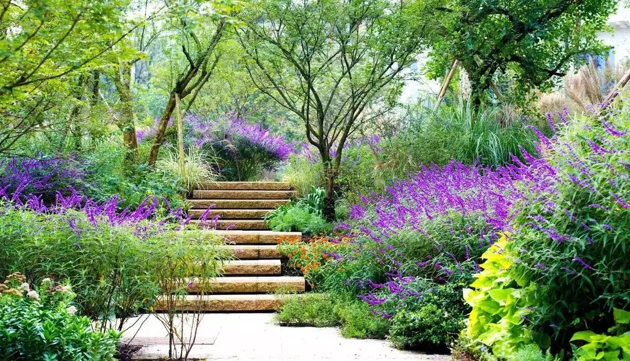 植物配置六大秘诀，助你的花园变成花海