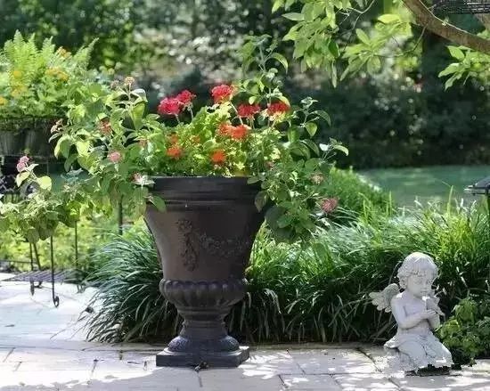 玫瑰花园的设计理念