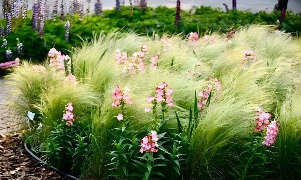 共建亲子花园，让孩子接触身边的大自然，度过快乐的户外时光