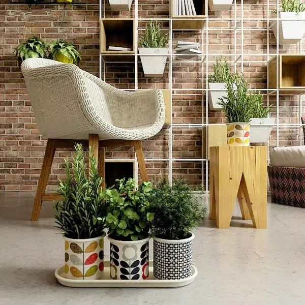 如此精致的室内花园，你也能拥有！